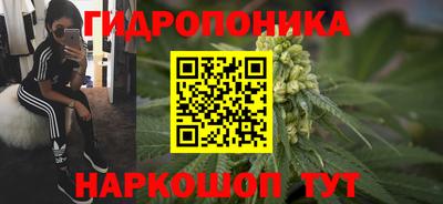 мяу мяу мука Балахна
