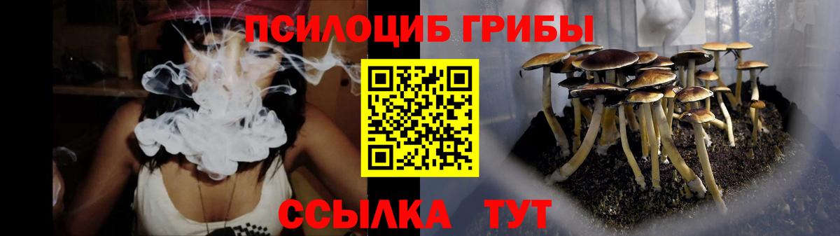 Галлюциногенные грибы Psilocybe Екатеринбург